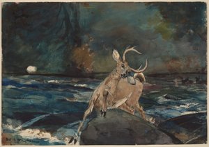 A Good Shot, Adirondacks by Winslow Homer