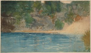 Blue Spring, Florida by Winslow Homer