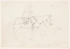Bridle Path, White Mountains