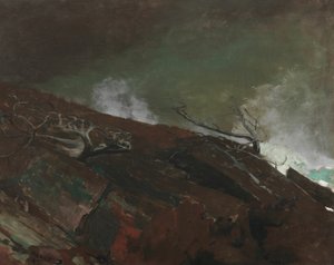 Coast of Maine by Winslow Homer