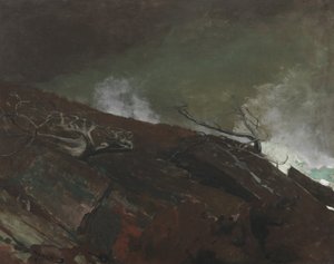 Coast of Maine by Winslow Homer