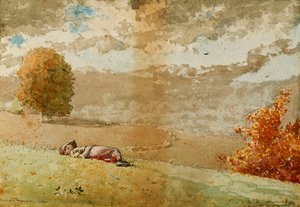 Daydreaming