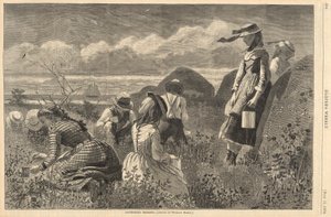 Gathering Berries, from Harper by Winslow Homer