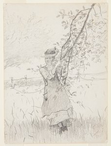 Girl Holding a Branch of an Apple Tree by Winslow Homer
