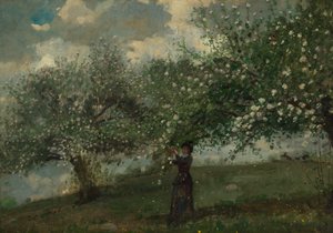 Girl Picking Apple Blossoms by Winslow Homer