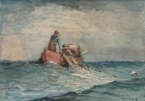 Hauling in the Nets