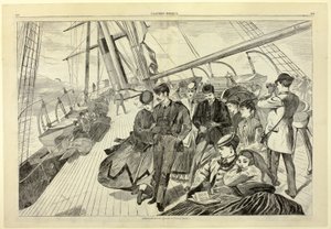 Homeward Bound, from Harper