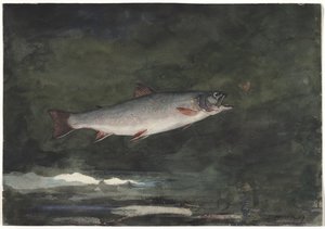 Leaping Trout by Winslow Homer
