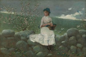 Peach Blossoms by Winslow Homer
