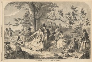 Picnicking in the Woods, from Harper