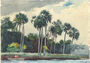 Red Shirt, Homosassa, Florida