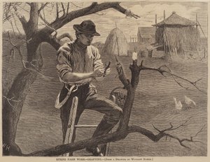 Spring Farm Work - Grafting, published 1870