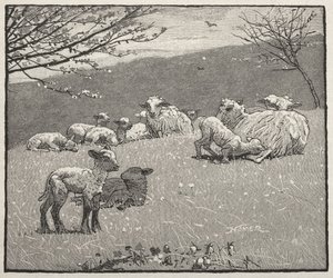 Spring Lamb by Winslow Homer