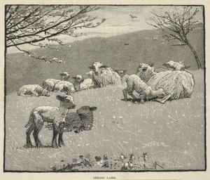 Spring Lamb, from Scribner