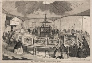 The Aquarial Gardens, Bromfield Street, Boston, 1859 by Winslow Homer