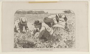 The Strawberry Bed by Winslow Homer