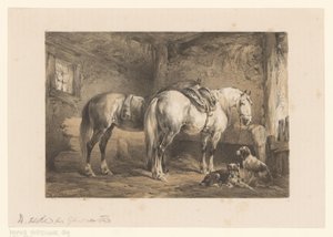 Two Horses and Dogs in a Stable by Wouter  Verschuur