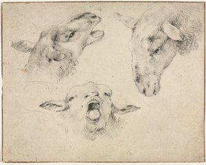 Sheep Heads by Wouterus Verschuur