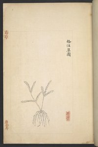 Plan from 
