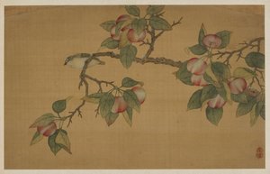 Bird and Fruit