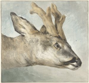Head of a Roebuck by Wybrand Hendriks