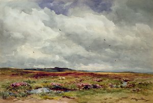 A Breezy Day, Dartmoor
