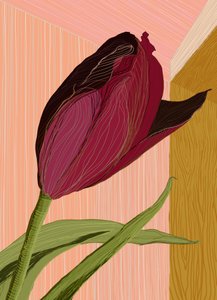 Crimson Tulip Corner