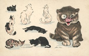 Fat Cat, Wearing Monocle, Alongside Various Less Favoured Pussies