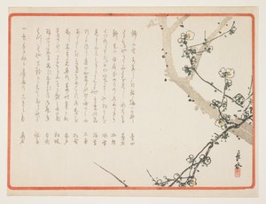 Plum Blossoms