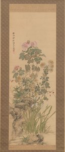 Autumn Flowers