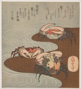 Three Crabs at Water
