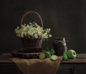 Rustic Daisy Still Life by Yinan F.