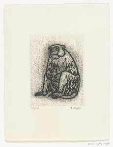 Monkey with Young