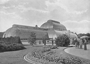 The Great Palm House, Kew Gardens