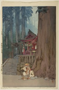 Misty Day in Nikko