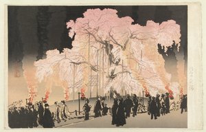 Cherry Blossom at Night in Maruyama Park