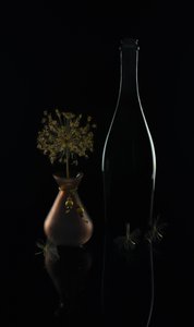 Elegant Dark Still Life by Yuanwei Zuo APA