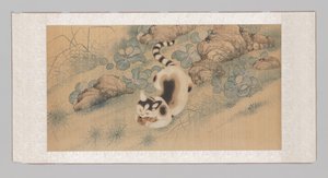 Hanging scroll with poppies, butterflies, and a cat (upper part) by Yun Bing