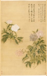 Peonies by Shouping Yun