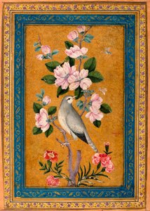 Bird Perching on a Blossoming Branch by Yusuf Zaman