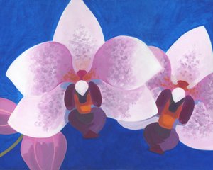 Pink Orchid Embrace