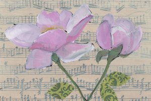 Soft Pink Roses Music