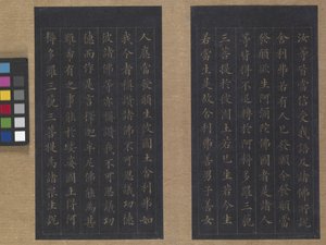 Sutra of Eternal Life (Wu Liang Shou Jing) 1837