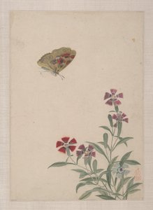 Birds, Insects and Flowers by Zhai Yi