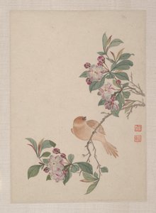 Birds, Insects and Flowers
