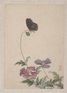 Birds, Insects and Flowers by Zhai Yi