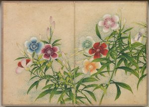 Desk Album: Flower and Bird Paintings (Pinks) by Zhang Ruoai