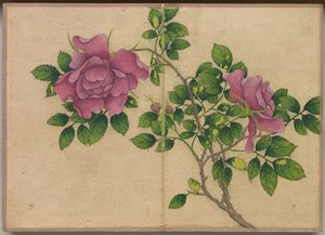 Desk Album: Flower and Bird Paintings (Rose) by Zhang Ruoai
