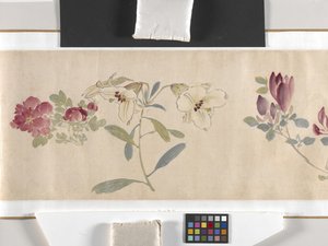 Coloured Flowers