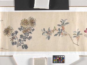Coloured Flowers